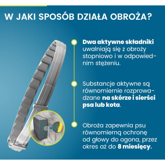 BAYER Foresto Obroża na pchły i kleszcze dla psa powyżej 8kg 70cm
